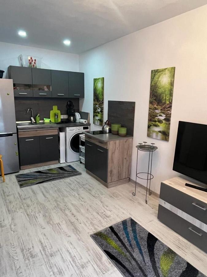 Apartament Acasa Sf.Gheorghe Sfântu-Gheorghe Exteriör bild