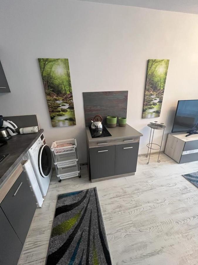 Apartament Acasa Sf.Gheorghe Sfântu-Gheorghe Exteriör bild