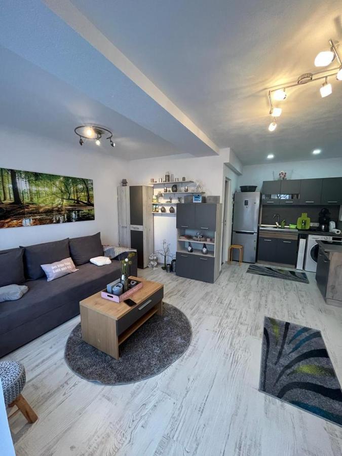 Apartament Acasa Sf.Gheorghe Sfântu-Gheorghe Exteriör bild