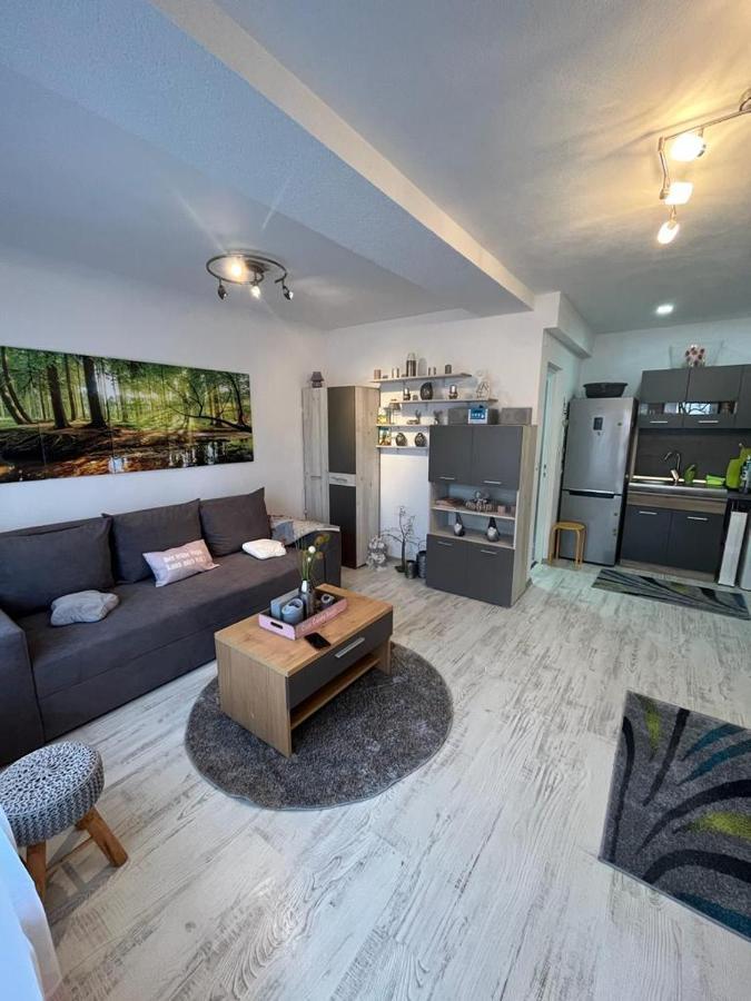Apartament Acasa Sf.Gheorghe Sfântu-Gheorghe Exteriör bild